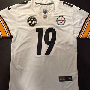 steelers jersey #19